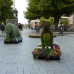 floral topiary menagerie cathedral square