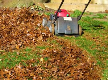 1-24MulchLeaves2REBECCA